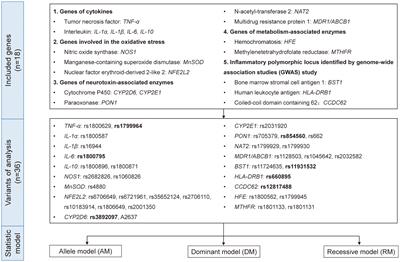 Quantitative and causal analysis for inflammatory genes and the risk of Parkinson’s disease